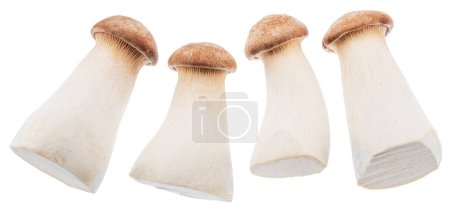 Téléchargez les photos : Quatre petits champignons eryngii ou champignons huîtres royaux isolés sur fond blanc. Sentier de coupe. - en image libre de droit