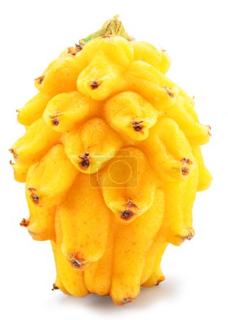 Photo for One yellow dragon fruit isolated on white background. - Royalty Free Image