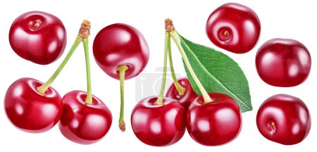 Collection of ripe cherries. File contains clipping paths.