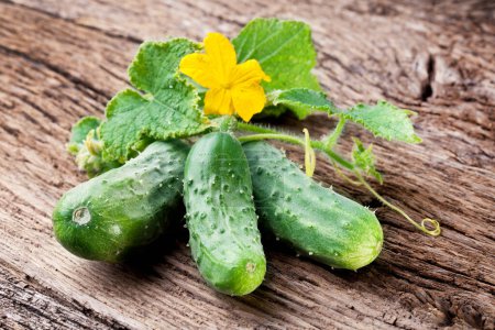 Photo for Fresh small cucumbers with leaves and flower on old wooden table. - Royalty Free Image