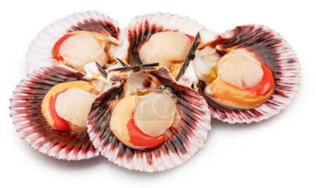 Foto de Group of fresh opened scallop with scallop roe or coral close up. File contains clipping path. - Imagen libre de derechos