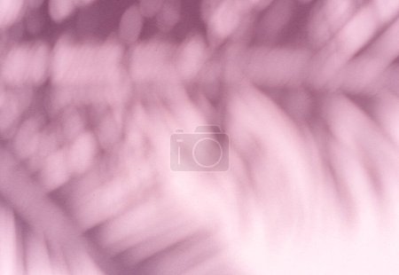 Foto de Sombra borrosa de hojas de palma tropical sobre fondo de pared rosa. Concepto de verano. - Imagen libre de derechos