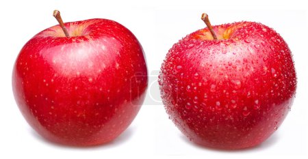Téléchargez les photos : Deux pommes rouges, l'une couverte de gouttes d'eau sur fond blanc. - en image libre de droit