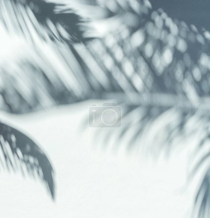 Téléchargez les photos : Ombre floue de feuilles de palmier tropicales sur fond de mur gris. Concept d'été. - en image libre de droit