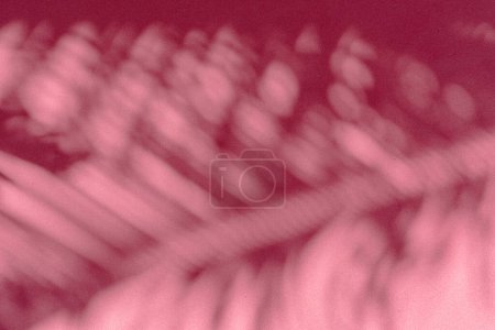 Photo for Blurred shadow of tropical palm leaves on pink wall background. Summer concept. - Royalty Free Image