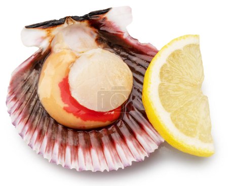 Photo for Fresh opened scallop with and lemon slice close up. Clipping path. - Royalty Free Image