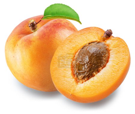 Photo for Ripe apricot with green leaf and apricot slice on white background. File contains clipping path. - Royalty Free Image