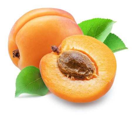 Photo for Ripe apricot with green leaf and apricot half on white background. - Royalty Free Image