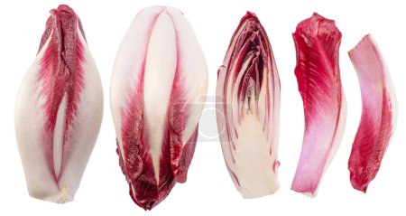 Photo for Collection of red endive and red endive slices on white background. File contains clipping paths. - Royalty Free Image