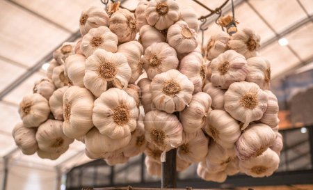 Photo for Strings of garlic bulbs hanging in the farm market. Food background. - Royalty Free Image