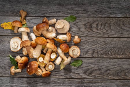 Foto de Cosecha fresca de hongos porcini sobre mesa de madera. Resultado afortunado de la recolección de setas. - Imagen libre de derechos