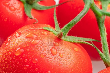 Téléchargez les photos : Tomates couvertes de gouttes d'eau gros plan. Macro shot. - en image libre de droit