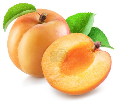 Photo for Ripe apricot with green leaf and apricot half on white background. File contains clipping path. - Royalty Free Image