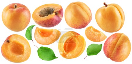Set of ripe apricots and apricot slices on white background. File contains clipping paths.