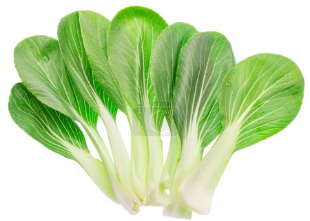 Photo for Bok choy leaves or chinese cabbage leaves on white background. File contains clipping paths. - Royalty Free Image