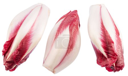 Photo for Collection of three red endive heads on white background. File contains clipping paths. - Royalty Free Image