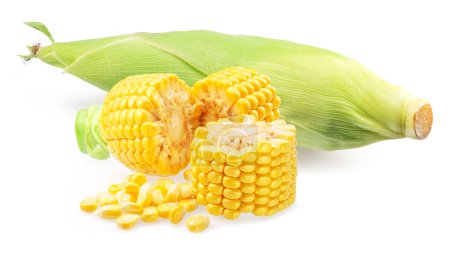 Photo for Cuts of maize cob or corn cob isolated on white background. - Royalty Free Image