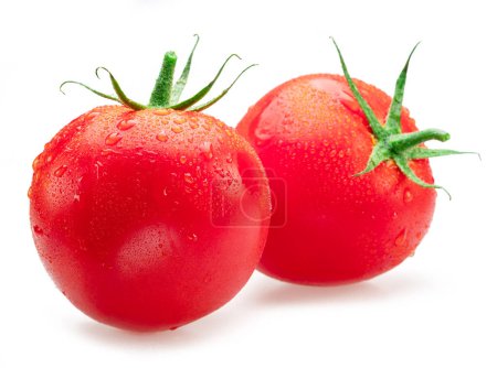 Téléchargez les photos : Tomates rouges fraîchement lavées recouvertes de gouttes d'eau sur fond blanc. - en image libre de droit