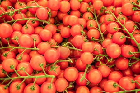 Téléchargez les photos : Tomates cerises mûres rouges en gros plan sur le stand du marché agricole. Contexte alimentaire. - en image libre de droit