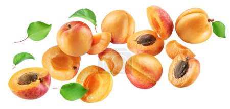 Photo for Ripe apricots and apricot slices flying in air on white background. File contains clipping paths. - Royalty Free Image