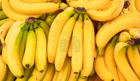 Photo for Ripe banana bunches on the farm market stall. Close up. - Royalty Free Image