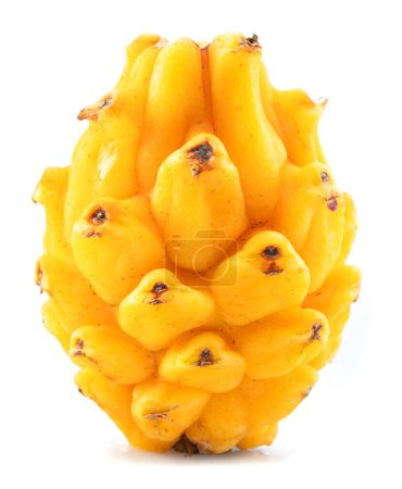 Téléchargez les photos : One yellow dragon fruit isolated on white background. - en image libre de droit
