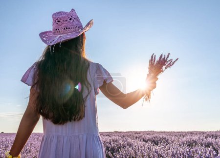 Photo for Girl walking in the lavender field and holding lavender bouquet in her hand. Brihuega, Spain. - Royalty Free Image
