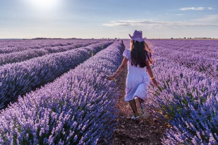 Photo for Young girl running between lavender bushes in the  field. Brihuega, Spain. - Royalty Free Image