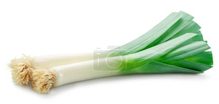 Photo for Fresh green leek stems isolated on white background. - Royalty Free Image