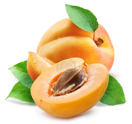 Photo for Ripe apricot with leaves and apricot half isolated on white background. - Royalty Free Image