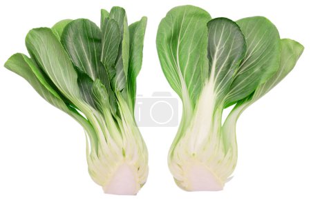Photo for Bok choy or chinese cabbages isolated on white background. File contains clipping path. - Royalty Free Image