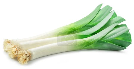 Fresh green leek stems isolated on white background.