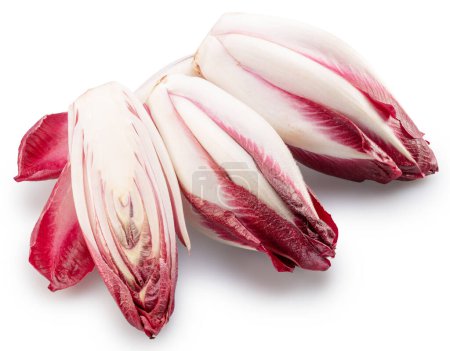 Photo for Red endive on white background. File contains clipping path. - Royalty Free Image