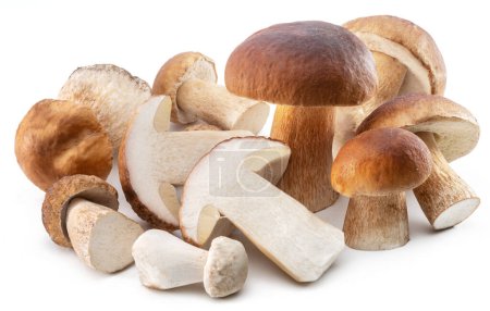 Photo for Group of porcini mushrooms isolated on white background. - Royalty Free Image