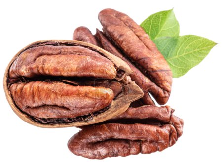 Photo for Shelled and cracked pecan nuts with leaves close-up on white background. - Royalty Free Image