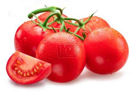 Téléchargez les photos : Branche de tomate recouverte de gouttes d'eau isolées sur fond blanc. Macro shot. - en image libre de droit