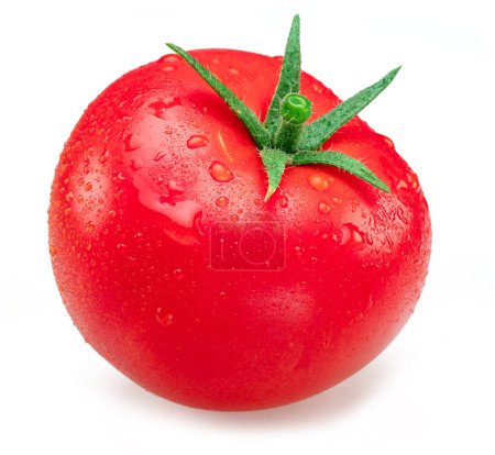 Téléchargez les photos : Tomate rouge fraîchement lavée recouverte de gouttes d'eau sur fond blanc. - en image libre de droit