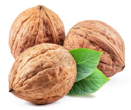 Foto de Whole walnut and walnut kernel  with leaves isolated on white background. - Imagen libre de derechos