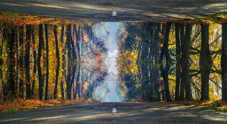 Téléchargez les photos : Vue futuriste de la route rurale d'automne. La route ressemble à reflétée dans le ciel. - en image libre de droit