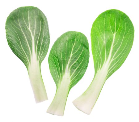 Photo for Bok choy leaves or chinese cabbage leaves on white background. File contains clipping paths. - Royalty Free Image