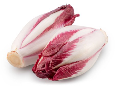 Photo for Red endive on white background. File contains clipping path. - Royalty Free Image