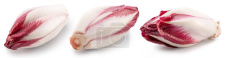 Photo for Collection of three red endive heads isolated on white background. - Royalty Free Image