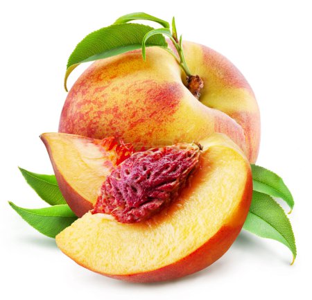 Photo for Ripe peach fruit with leaves and peach half isolated on white background. - Royalty Free Image