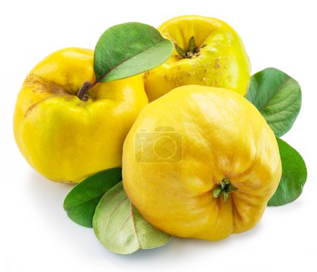 Photo for Ripe apple quince with green leaves isolated on white background. - Royalty Free Image