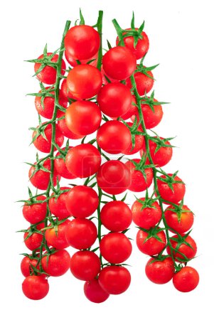 Photo for Three red cherry tomatoes on branch with water drops isolated on white background. - Royalty Free Image