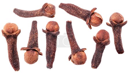 Photo for Clove spices isolated on a white background, cloves for mulled wine. Clipping path. Great spices background for your projects. - Royalty Free Image