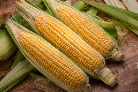 Photo for Ripe corn heads with corn whiskers and leaves. Nice vegetable cooking background for your projects. - Royalty Free Image