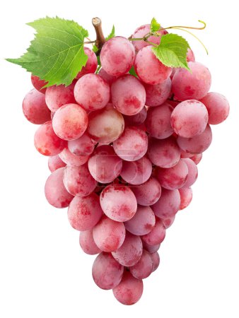Téléchargez les photos : Bouquet de raisins de table roses avec des feuilles de raisin isolées sur fond blanc. Grand fond de fruits pour vos projets. - en image libre de droit