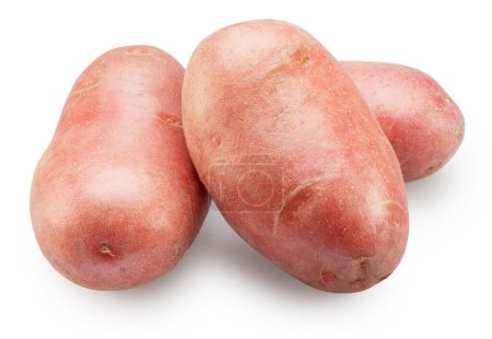 Photo for Red skin potatoes isolated on white background. - Royalty Free Image