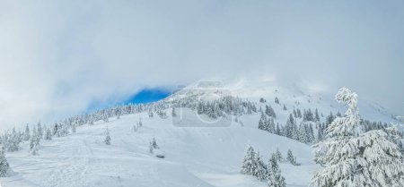 Foto de Hermoso paisaje de invierno soleado en las montañas. Montaña y abetos cubiertos de nieve y nubes. - Imagen libre de derechos